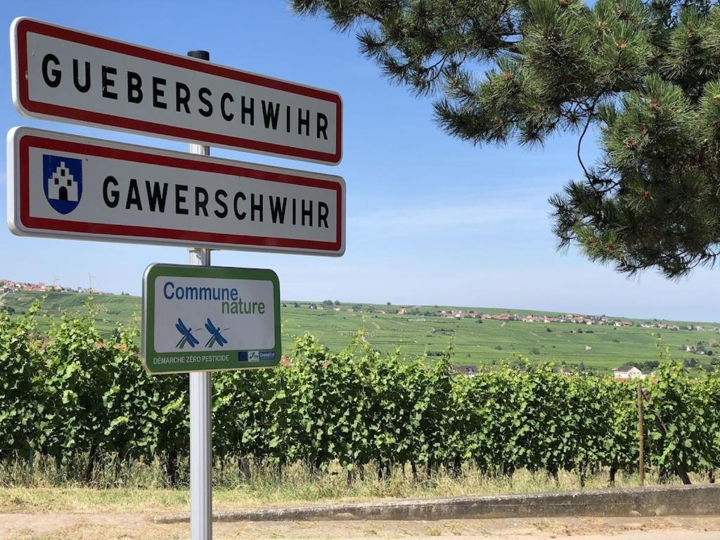 Maison De Charme En Alsace - In Vino Veritas - 12 Personnes Gueberschwihr Exterior foto